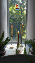 Load image into Gallery viewer, Hand-rolled beeswax taper candles burning in a sunny forest window