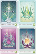Load image into Gallery viewer, Four illustrated cards from The Herbal Healing Deck
