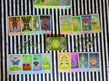Load image into Gallery viewer, The Herbal Healing Deck cards arranged by plant category with the deck centered
