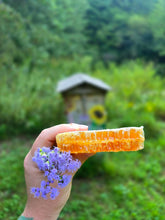 Load image into Gallery viewer, Golden raw honeycomb held beside purple flowers with the apiary in the background