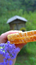 Load image into Gallery viewer, Close view of glowing golden raw honeycomb from Diagon Apiary