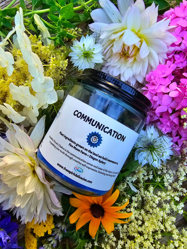 Communication Soy Candle