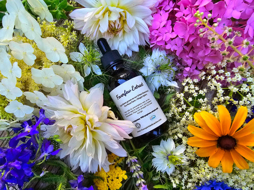 Feverfew Extract