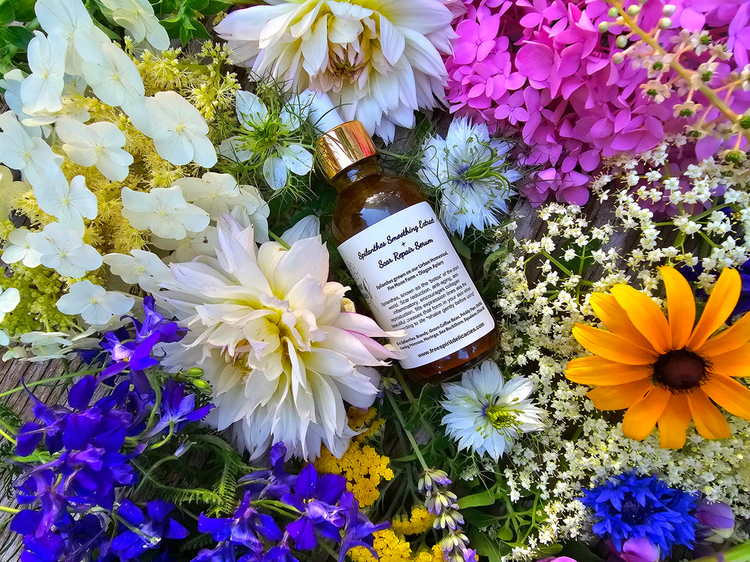 Spilanthes + Scar Repair Serum
