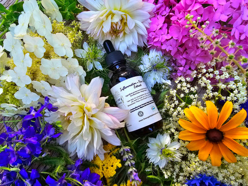 Inflammation + Pain Relief Extract