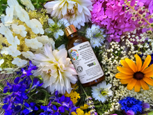 Load image into Gallery viewer, Spilanthes Smoothing Serum bottle surrounded by flowers