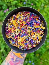 Load image into Gallery viewer, Wild Indigo Forest Farm Flower Confetti - colorful dried edible flower petals in the garden
