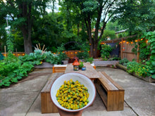 Load image into Gallery viewer, Garden Consultation (Full)