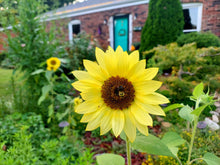 Load image into Gallery viewer, Garden Consultation (Full)