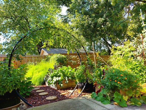 Garden Consultation (Full)