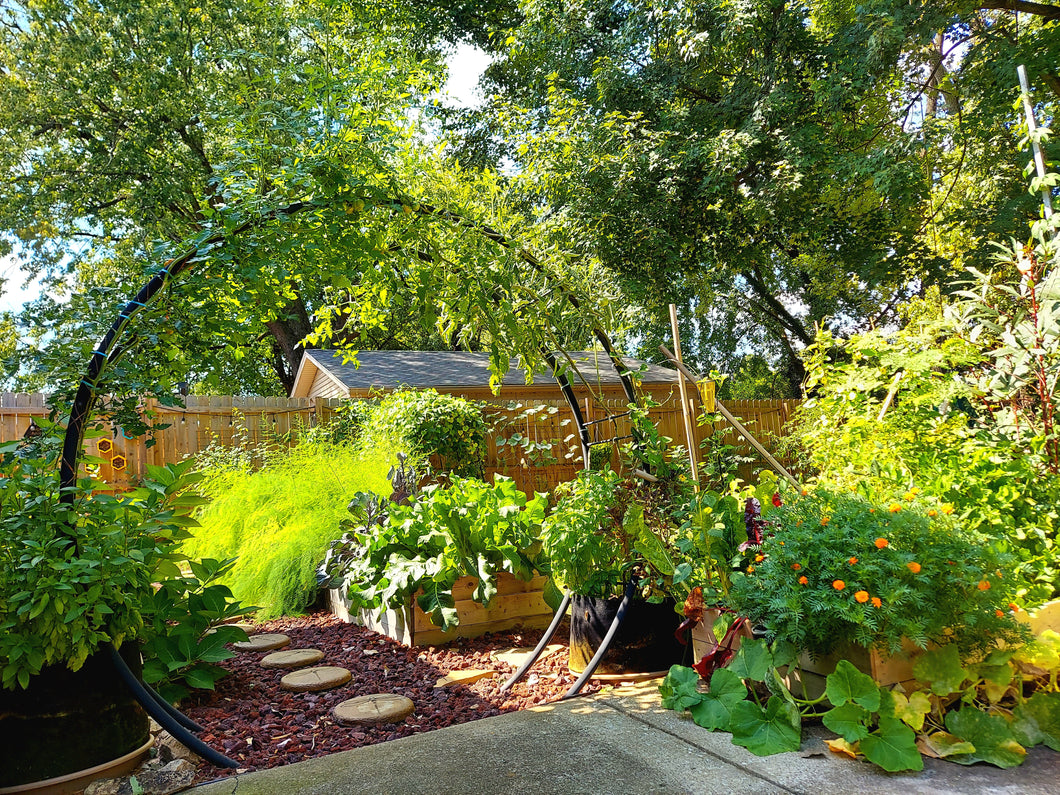 Garden Consultation (Full)